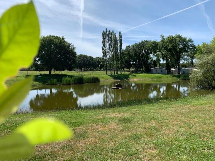 De L'etang Du Pays Blanc Campsite